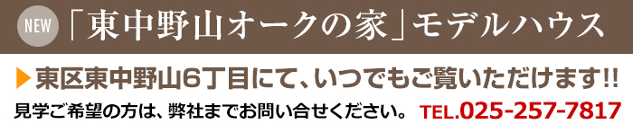 uRI[N̉ƁvfnEX擌R6