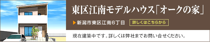 ]샂fnEXuI[N̉Ɓv